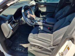 Audi Q8 2023 | 3.0TFSI Premium Plus Quattro (023894-VIN) full